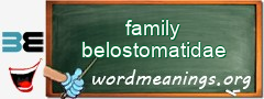 WordMeaning blackboard for family belostomatidae
